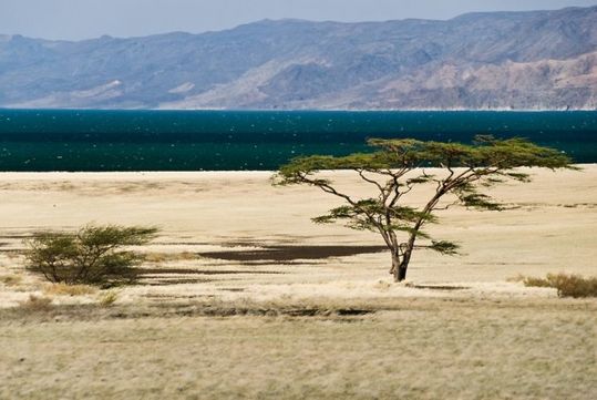 landscapes_16