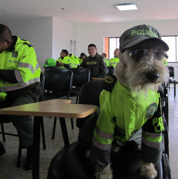 police5_e