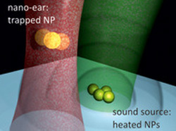 バクテリアの音も聞こえる？世界最小の耳「ナノイアー」が開発される（ドイツ研究）
