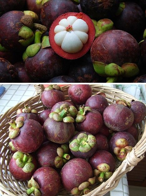 amazing_fruits_4