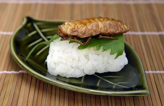 sushi_10