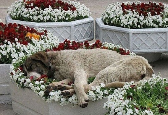 tired_640_13_e