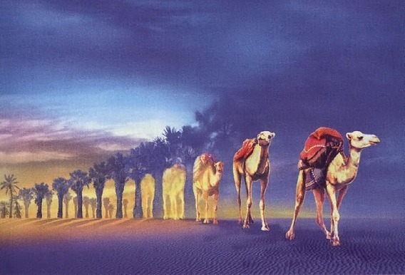 rob-gonsalves-27[2]