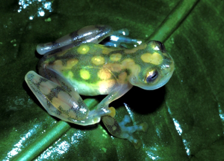cisneros_image12