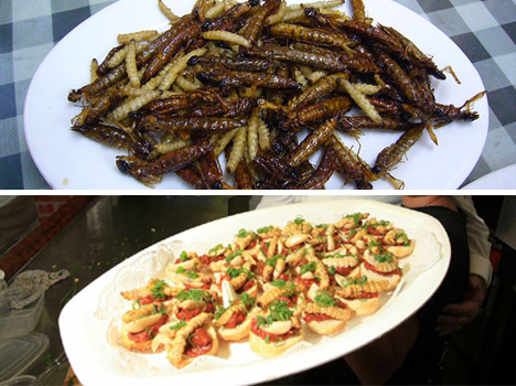 caterpillars-and-witchetty-grubs