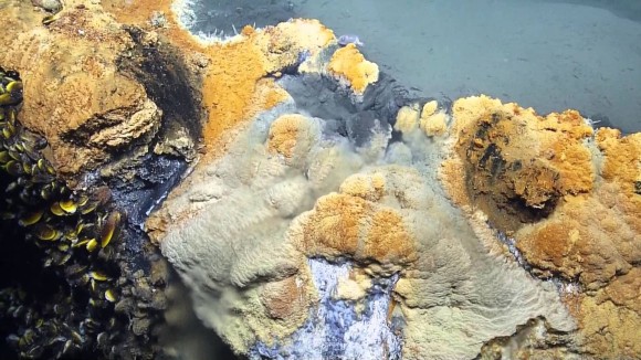 猛毒が渦巻く死の湖。海の底に沈む「海底の湖」の鮮明な映像が公開される（メキシコ湾）