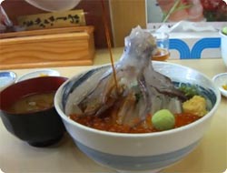日本で撮影された醤油をかけると丼の中でイカが踊る映像が海外で話題に