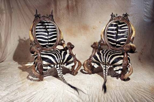 amazing-furniture-animal-04