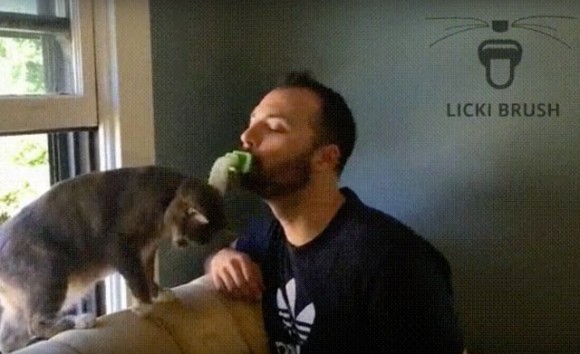 本気だった！愛猫家の為の猫を舐めるための猫舌「LICKI Brush」がキックスターターで資金募集開始