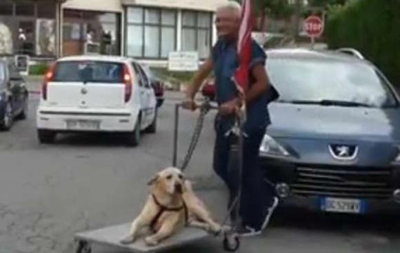 足腰の不自由な犬を台車で散歩させるおじいさんにイタリア全土が感動