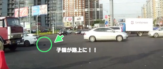 今日のやさしさ：子猫の危機をすくったトラックの運転手