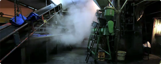 ペリー浦賀来航の66年前から創業を続ける醤油蔵「岡直三郎商店」の醤油づくり映像（高画質）