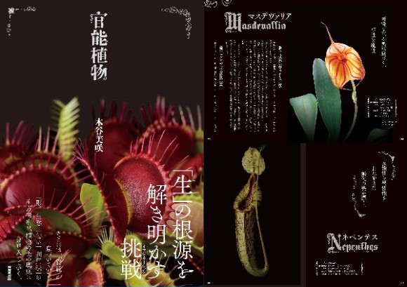 植物セクシー。植物に秘められた官能美に迫るビジュアル本『官能植物』がとにかく妖艶