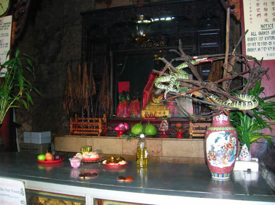 Snake-Temple-Penang6