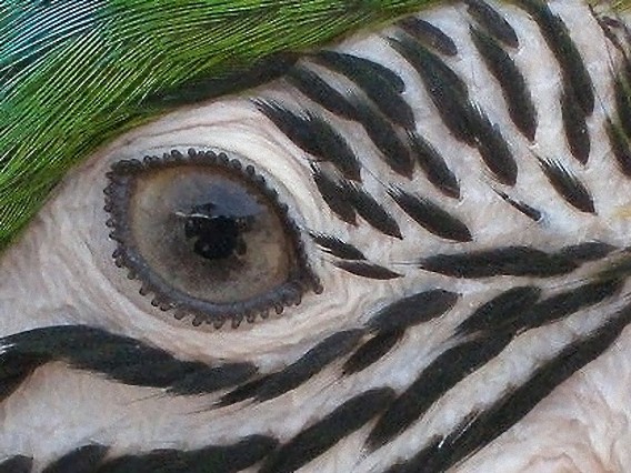 13_e