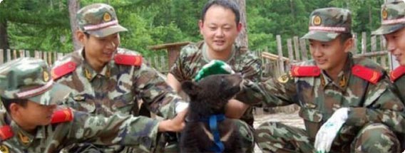 超えられない壁を軽く越えた？近くて遠い世界を感じるバカ画像特集