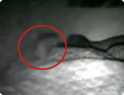 【動画】監視カメラで撮影した寝ている間に現れる霊の驚くべき姿