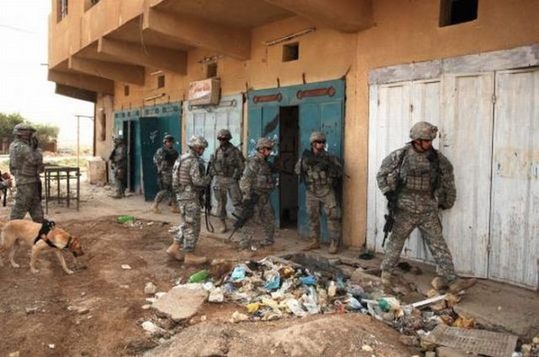 dogs_in_army_03