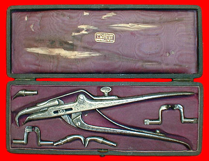 dental_pelican_attractif_de_dEstanque