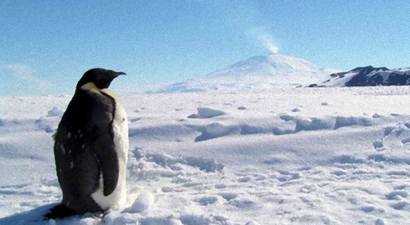 南極の氷庄で新たなる活火山が発見される。地球規模の気候変動に影響を及ぼす可能性も（米研究）