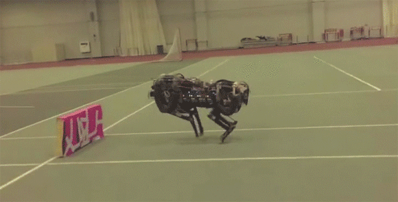 ドキっとするほどかわいい。MITが開発中のチーターロボットがハーネスなしでランニングジャンプに成功（米研究）