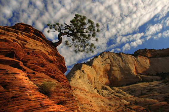 beautiful_award_winning_photos_18