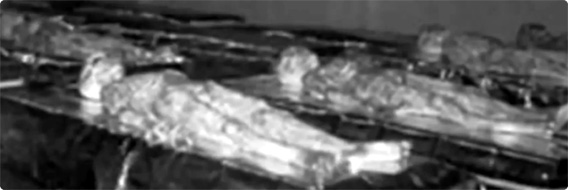 【閲覧注意】最近公開されたというロズウェルで回収された宇宙人6体の画像