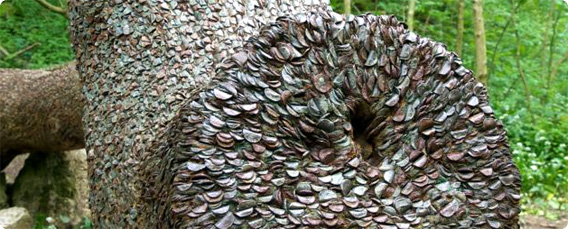 イギリスの森にある、無数のコインに侵食された不気味な木の切り株