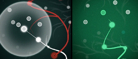 ニューロンをどんどん成長させていくゲーム「Axon」をプレイしよう