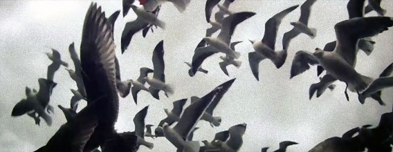 危険な海域での遠洋漁船の航海を記録したドキュメンタリーフィルム「リヴァイアサン」