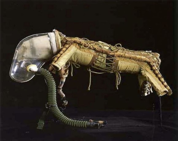 宇宙犬ライカが身に着けていたとされるコスチュームの詳細が明らかに？