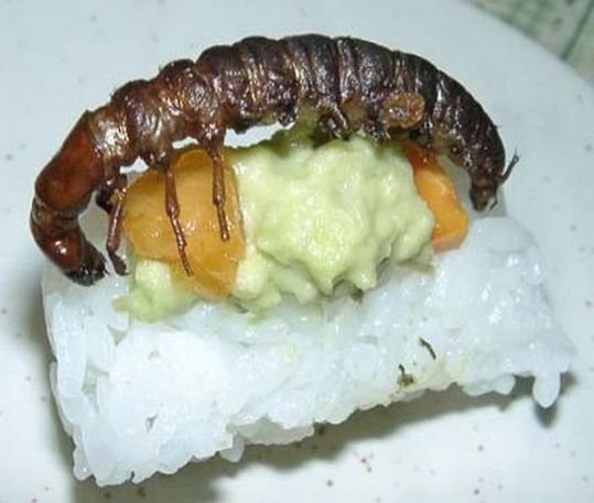 sushi_05