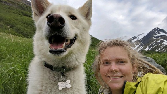 見知らぬ犬の無償の愛が奇跡を生む。怪我を負い、川に流されそうになったハイカーを2度救ったアラスカン・ハスキー