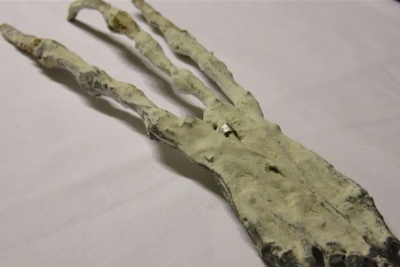 エイリアンの爪？ペルーの砂漠で発見された3本指のミイラ