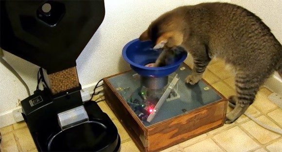 やっぱ猫頭いいだろ。食べたい時にボールを探しからくり仕掛けの自動給餌装置にセットする猫