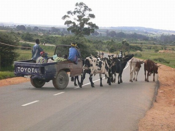 only_in_africa_32