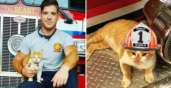 新しい隊員を紹介する。猫だ！消防隊員たちを骨抜きにした元野良猫、フレイムの物語（アメリカ）