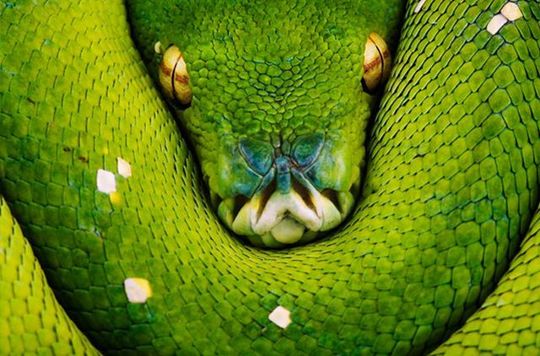 national_geographic_23
