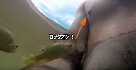 ほんわかムードが一転！魚にロックオンされた男性の局部的悲劇