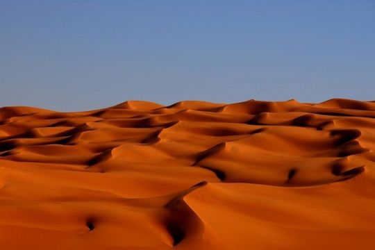 landscapes_20