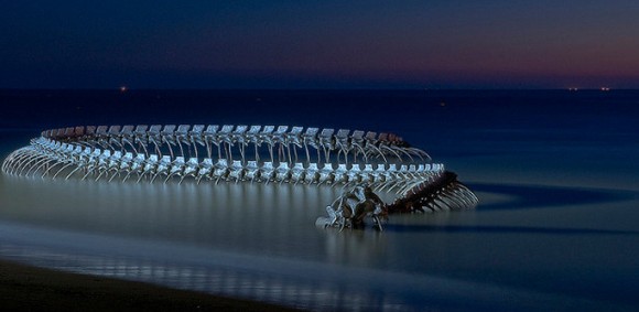 感動！全長130メートルの巨大なシーサーベントの骸骨がフランスの川岸に突如出現！