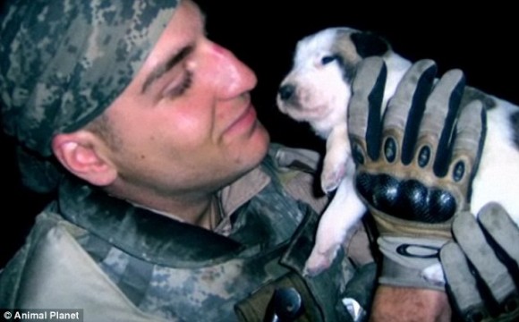アメリカの若き兵士がイラクで戦死する数時間前に抱きかかえていた捨て犬。両親はこの犬を探し出し飼うことを決意。その後訪れた奇跡の瞬間
