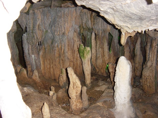 H0000017072