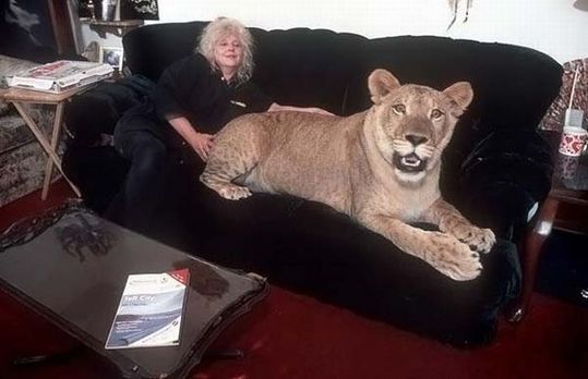most_unusual_pets_12