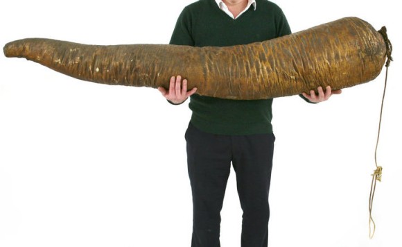 クジラの巨大な息子スティックの剥製がオークションに出品。きっちり落札されていた件（イギリス）