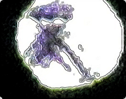 オーストラリアでUFOに乗った宇宙人が目撃、撮影される！？