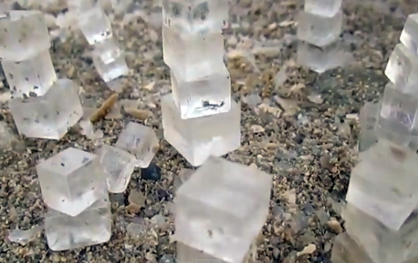 しおしおしい。ぱっきりキューブ状の塩の結晶がゴロゴロ落ちてる死海の浜辺
