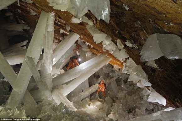 5万年前に結晶に閉じ込められていた微生物が発見される。そしてそれは生きていた。（メキシコ）