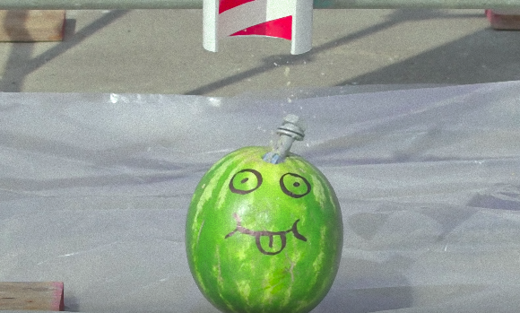 melon3