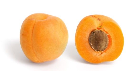 20Apricot_and_cross_section_e